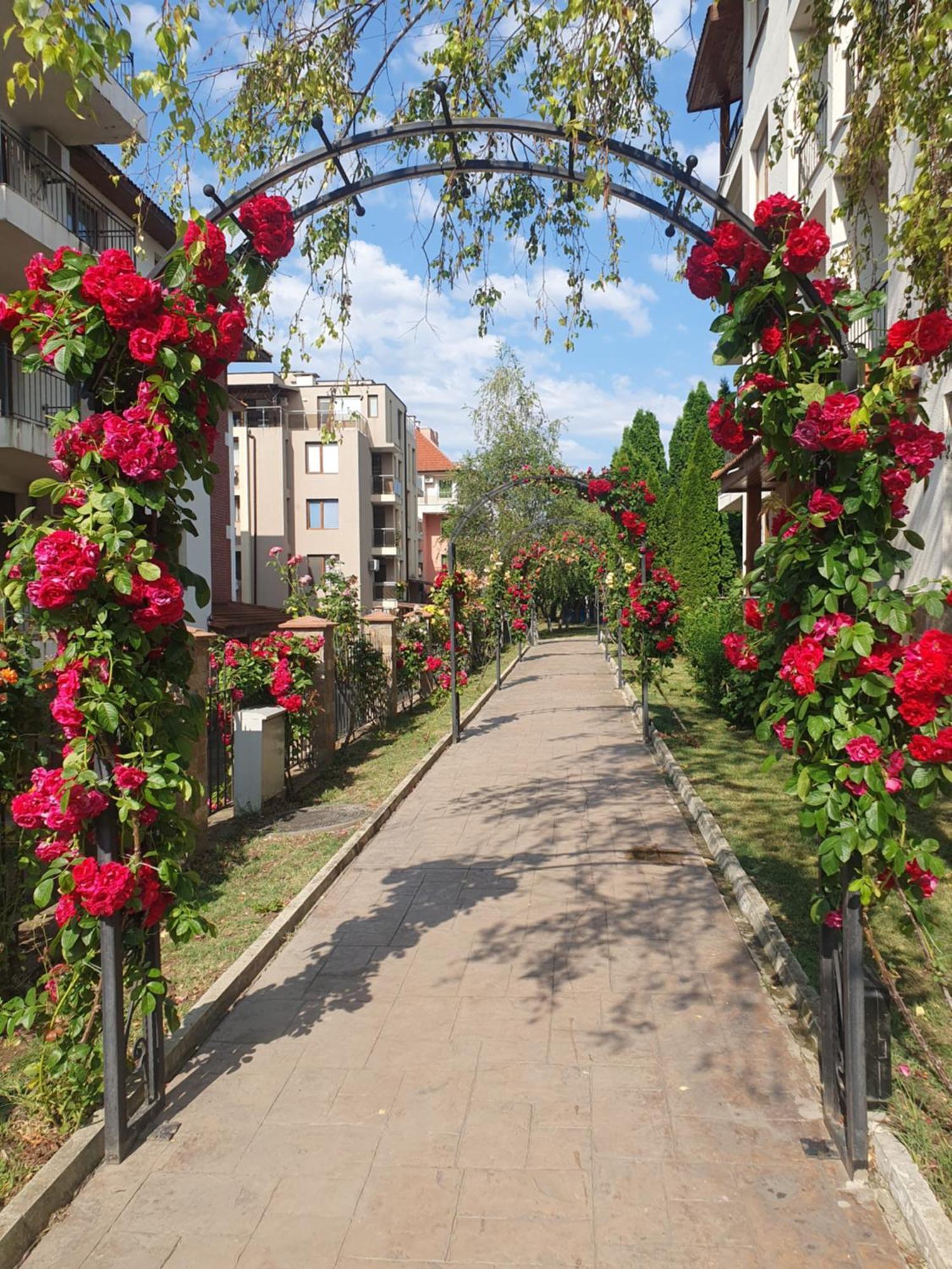 Family Hotel Apolon Несебир Екстер'єр фото